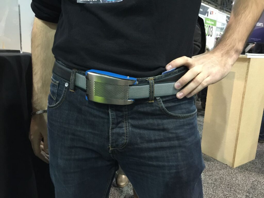WiFi Belt